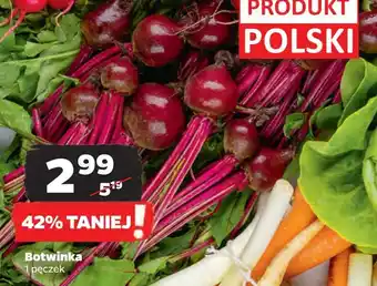 Netto Botwinka polska oferta