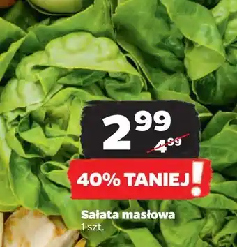 Netto Sałata masłowa oferta