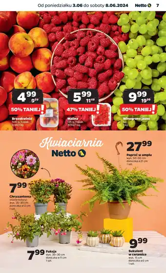 Netto Brzoskwinie oferta