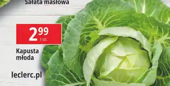 E.Leclerc Kapusta młoda oferta