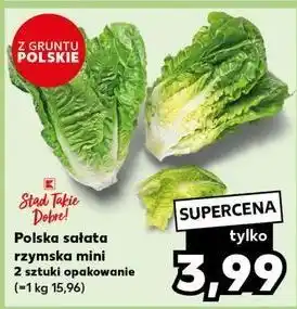 Kaufland Sałata rzymska mini K-Classic Stąd Takie Dobre! oferta