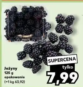 Kaufland Jeżyny oferta