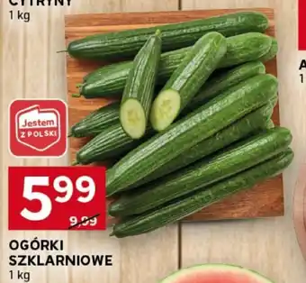 Stokrotka Optima OGÓRKI SZKLARNIOWE 1 kg oferta