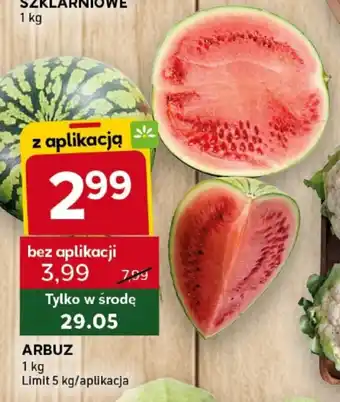 Stokrotka Optima ARBUZ 1kg oferta