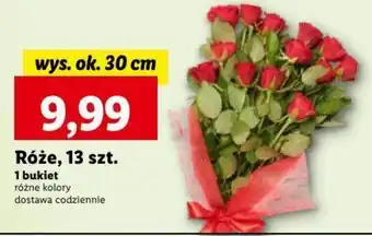 Lidl Róże, 13 szt. oferta