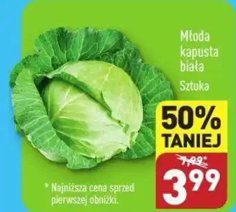 ALDI Młoda kapusta biała szt. oferta