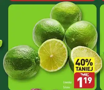 ALDI Limonka szt. oferta