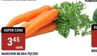 bi1 MARCHEW MŁODA PĘCZEK oferta