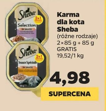 Netto Karma dla kota Sheba oferta