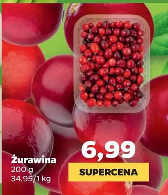 Netto Żurawina oferta