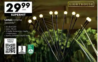 Biedronka Lampa solarna Dekra oferta