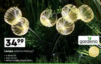 Lampa soladna meduza Gardenic