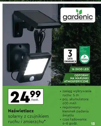 Biedronka Naświetlacz solarny Gardenic oferta