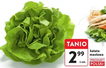 Intermarche Sałata masłowa 1szt. oferta
