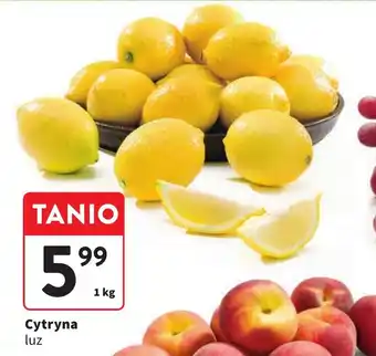 Intermarche Cytryna 1kg oferta