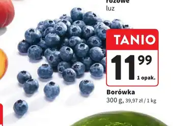 Intermarche Borówka 300g oferta
