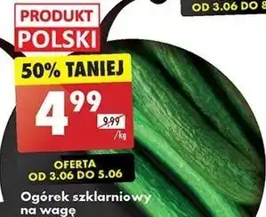 Biedronka Ogórek szklarniowy polska oferta