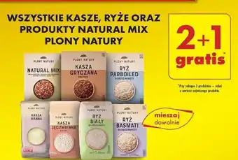 Biedronka Ryż biały długoziarnisty Plony Natury oferta