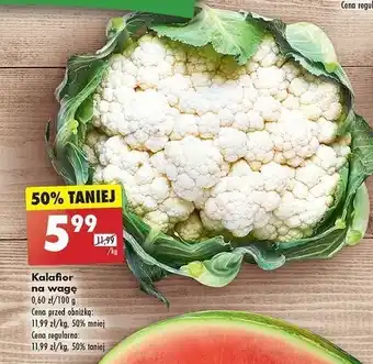 Biedronka Kalafior oferta