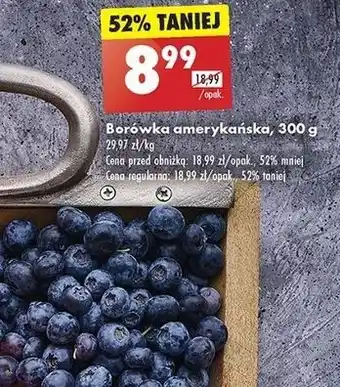 Biedronka Borówki amerykańskie oferta
