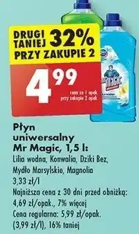 Biedronka Płyn uniwersalny magnolia Mr Magic oferta