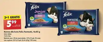 Biedronka Karma dla kota wybór smaków w galaretce Purina Felix Fantastic oferta