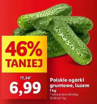 Lidl Ogórek gruntowy polska oferta