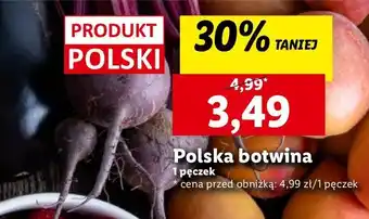 Lidl Botwina polska oferta