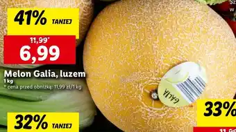 Lidl Melon galia oferta