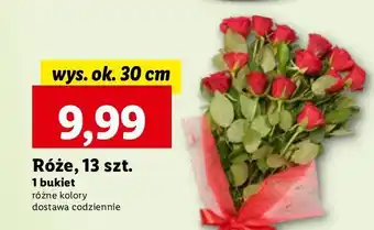 Lidl Róże 30 cm oferta