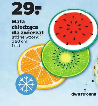 Netto Mata chłodząca oferta