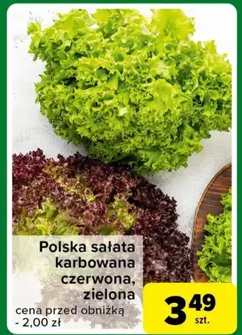 Carrefour Express Sałata oferta