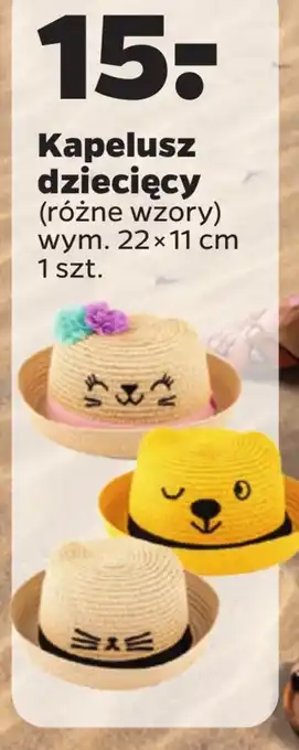 Netto Kapelusz oferta