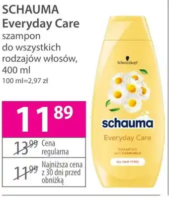 Hebe Szampon oferta