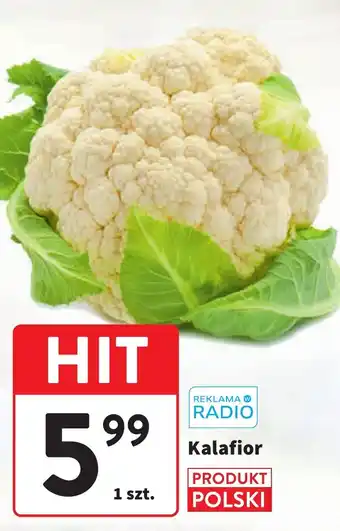 Intermarche Kalafior 1szt. oferta