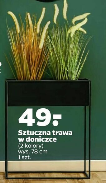 Netto Sztuczna trawa w doniczce oferta