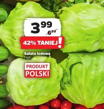 Netto Sałata lodowa 1 szt. oferta