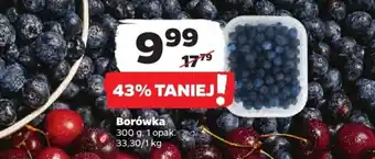 Netto Borówka 300 g oferta
