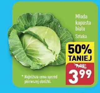 ALDI Kapusta biała młoda oferta