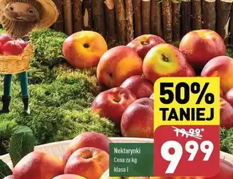 ALDI Nektarynki oferta