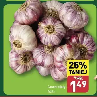 ALDI Czosnek młody oferta
