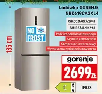 Neopunkt Lodówka Gorenje oferta