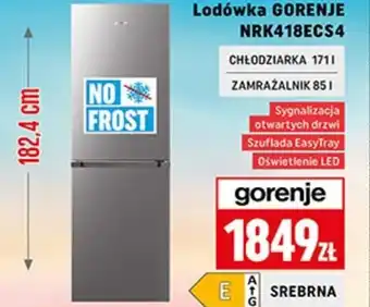 Neopunkt Lodówka Gorenje oferta