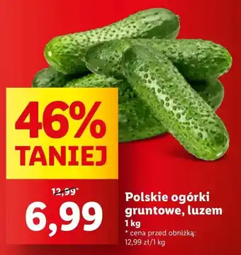 Lidl Ogórki oferta