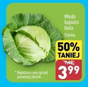 ALDI Kapusta młoda oferta