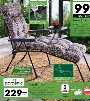 Biedronka Leżak Gardenic oferta