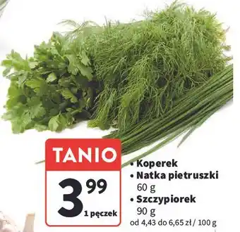Intermarche Natka pietruszki oferta