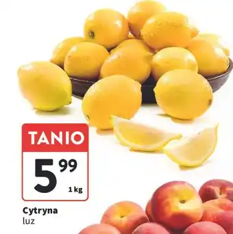 Intermarche Cytryny oferta