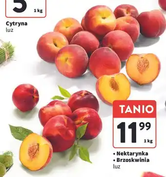 Intermarche Nektarynki oferta