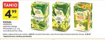 Intermarche Herbatka lipa Herbapol Zielnik Polski oferta